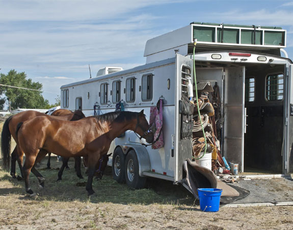 A horse trailer insured by MBA rental insurance